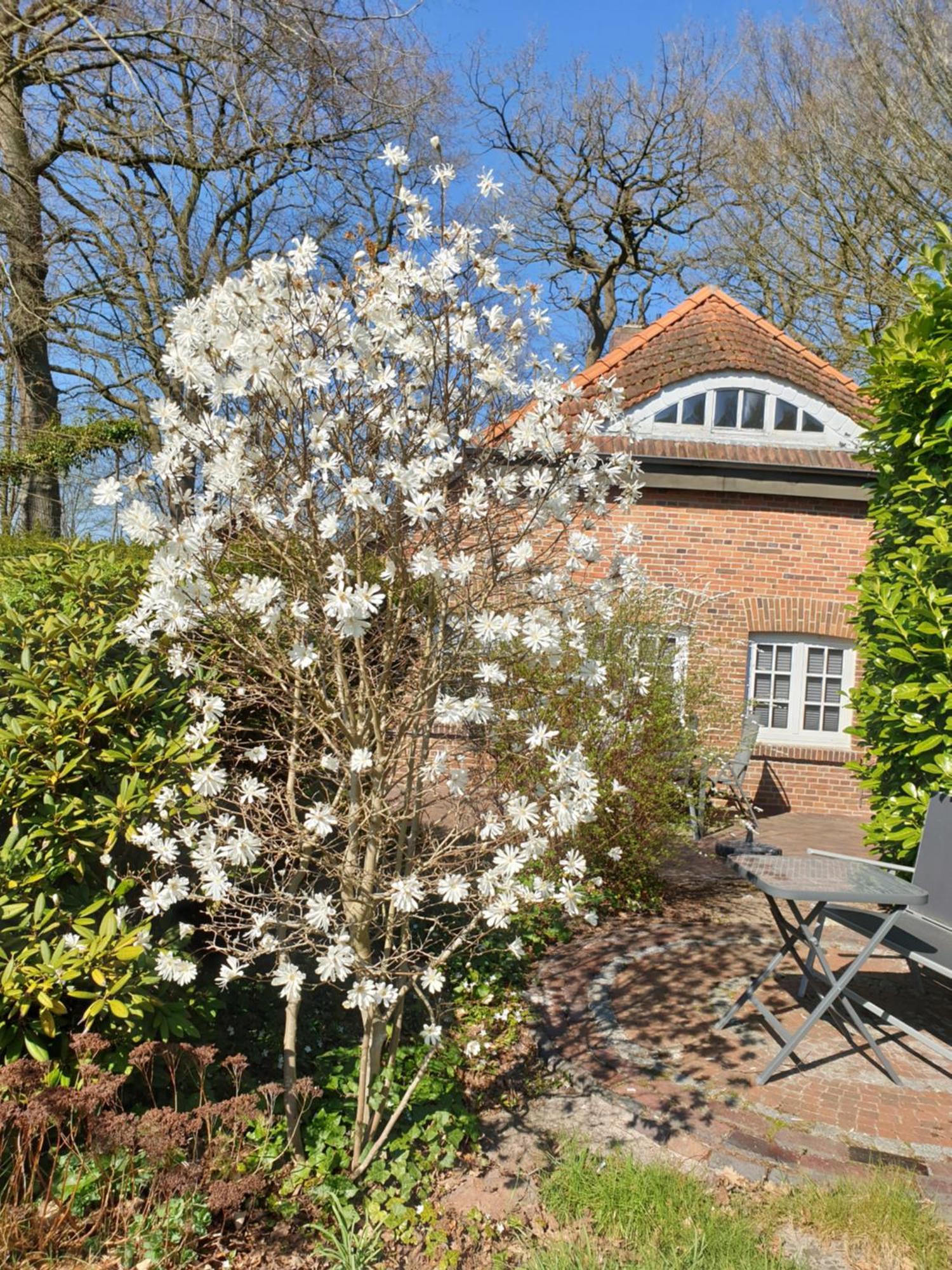 Ferienwohnung Kaminzimmer Westerstede Bagian luar foto
